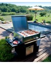 Cache bouteille gaz en acier inoxydable pour barbecue barby