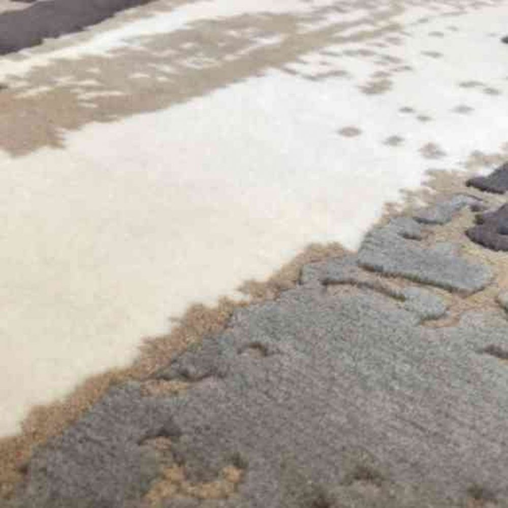 Tapis Bold SERGE LESAGE