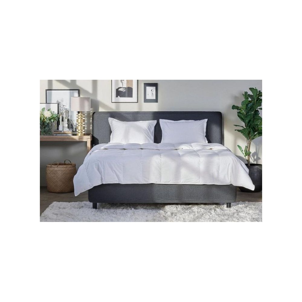 COUETTE LUXE DUVET D'OIE HOME BY TEMPUR®