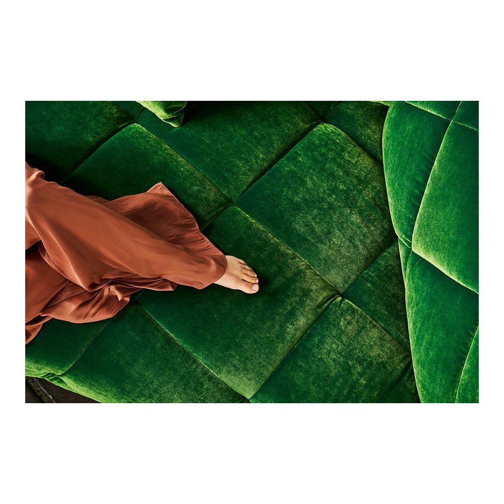 Teratai