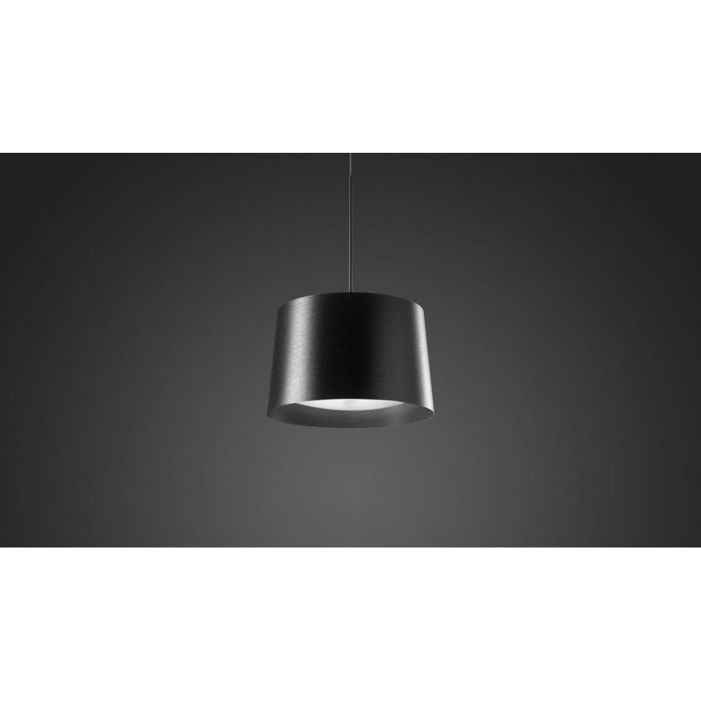 Lampe en suspension Twiggy