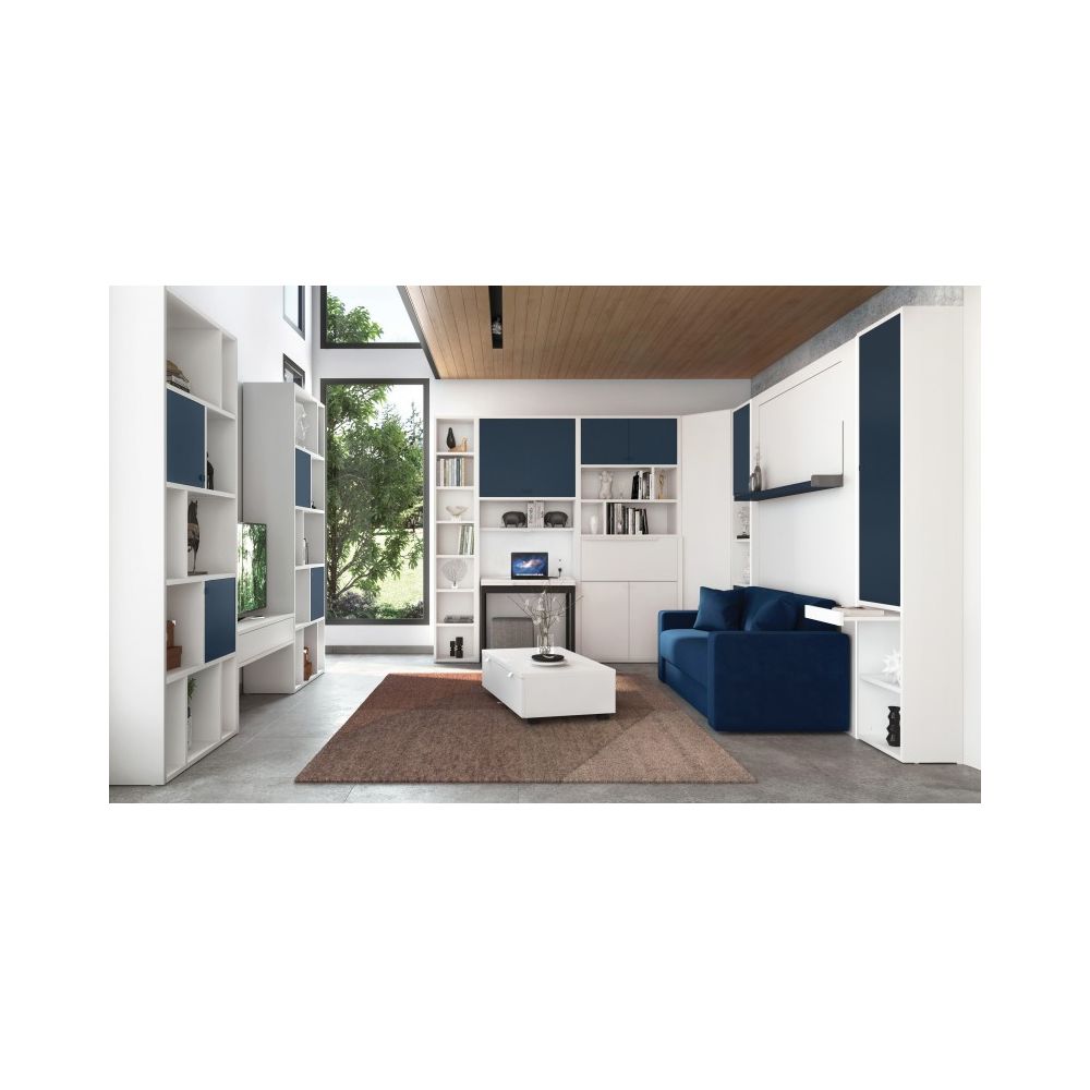 Colonne avec rangement et 1 porte L50...