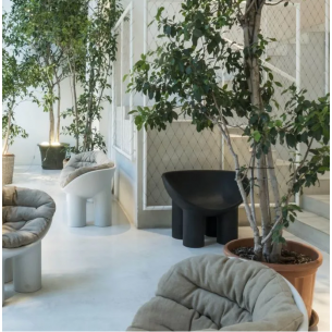 Fauteuil Roly Poly DRIADE